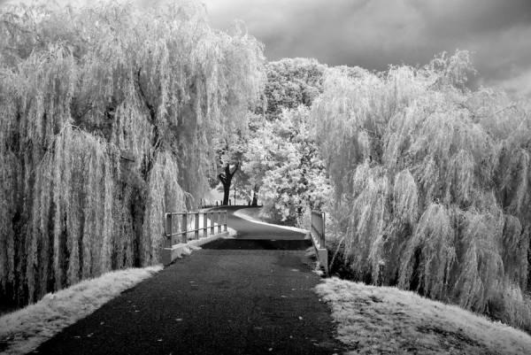 Photograph Gert Van Den Bosch The Winding Road Infrared on One Eyeland